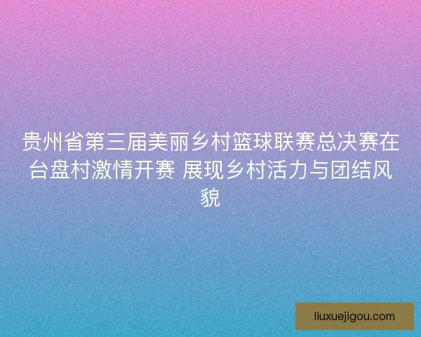 贵州省第三届美丽乡村篮球联赛总决赛在台盘村激情开赛 展现乡村活力与团结风貌