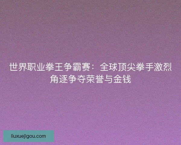 世界职业拳王争霸赛：全球顶尖拳手激烈角逐争夺荣誉与金钱