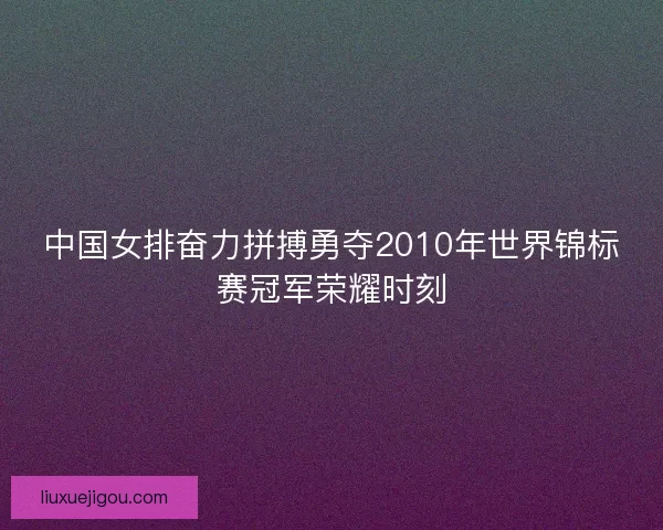 中国女排奋力拼搏勇夺2010年世界锦标赛冠军荣耀时刻 中国女排奋力拼搏勇夺2010年世界锦标赛冠军荣耀时刻