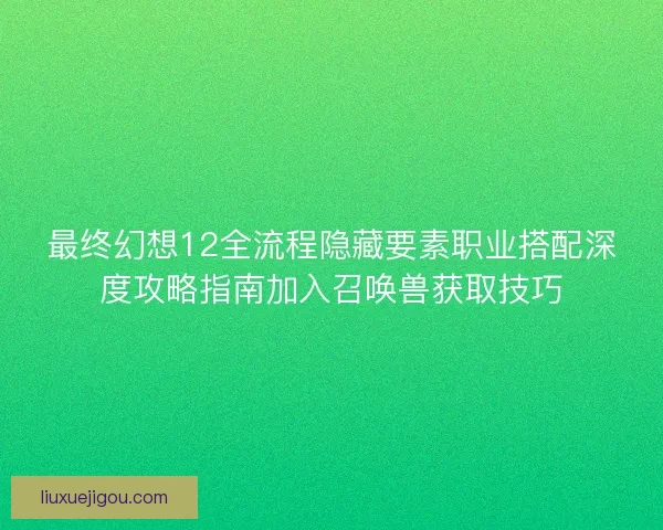 最终幻想12全流程隐藏要素职业搭配深度攻略指南加入召唤兽获取技巧