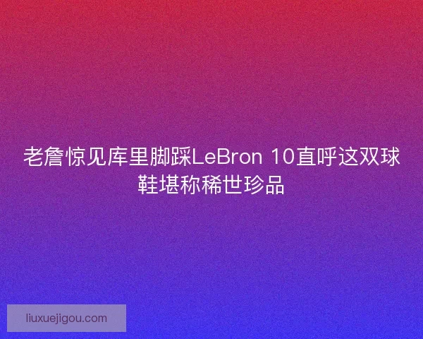 老詹惊见库里脚踩LeBron 10直呼这双球鞋堪称稀世珍品