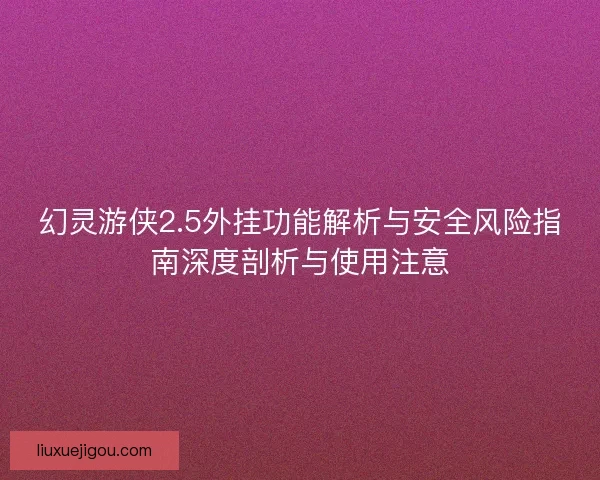 幻灵游侠2.5外挂功能解析与安全风险指南深度剖析与使用注意